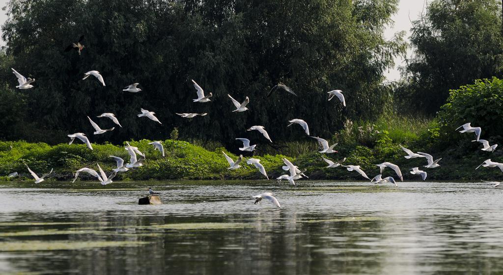 Vila Delta Travel - Mila 23 Mila Douăzeci şi Trei Exteriör bild